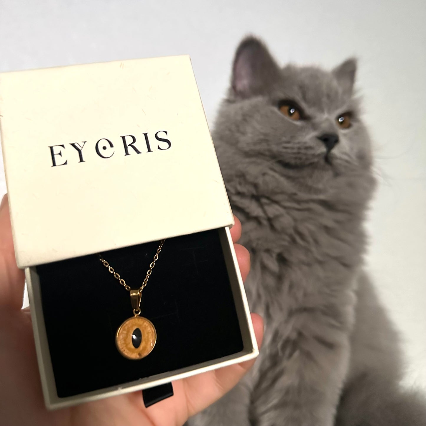 Collier SORA