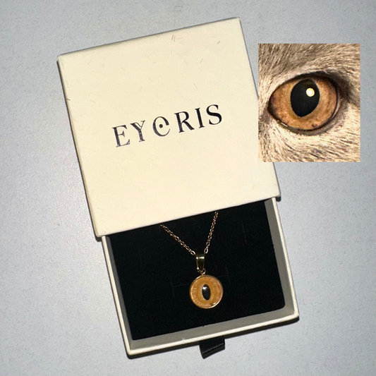 Collier SORA